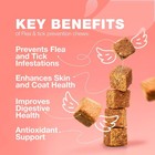 Flea Treatment For Cats Daily Oral Cat Flea And Tick Treatment Chews Chewable Ki