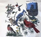 Vtg Wildlife Rehab   Release T Shirt Single Stitch 90 s Nature Eco Bird Outdoors