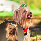 Small Dog Hair Bows Bling Grooming Accessories With Rubber Bands 20pcs