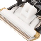 Replacement Blades Shaver Knife Head Bridegroom Dog Trimmer Grooming Clipper