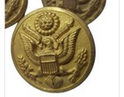 Lot Of 25 Vintage Us Army Great Seal Buttons Waterbury Button Co Ct Brass