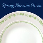 Corelle 1150493 Vitrelle 18 Piece Dinnerware Set Service For 6 Spring Blossom