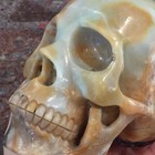 5  Natural Amazonite Carved Crystal Skull Realistic Healing Skeleton  4027