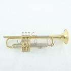 Bach Model 18043r Stradivarius Professional Bb Trumpet Sn 797923 Open Box