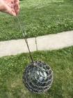 Double F Japanese Glass Fishing Float Buoy Ball 12 In W  Net Vintage Hokkaido 
