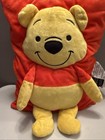 Disney Winnie The Pooh 14 X 11 3d Pillow - Room Decoration Or Sleep Pillow