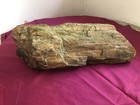 Petrified Wood Log 36 Lbs Natural Raw From East Texas 18    X 8 X 6   