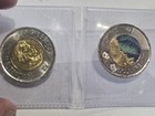 2017 Canada Color  glow-in-the-dark  Two Dollars Toonie Au Coin  Toon  2  X2 
