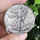      Limited Coin  2024 1 Oz Silver Eagle  1    see The Picture For More Details    