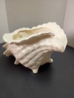 Vtg Conch Seashell Planter  80 s Atlantic Mold Ceramic Beach coastal Decor