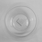 Wgv Bowl Clear Glass Vase Bubble Planter Bowl Decor 4 75  Tall Vbw0006