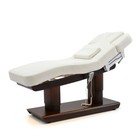 Electric Spa Bed Walnut Spa Massage Table Facial Bed For Beauty Hotel Spa