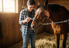 Strongid Paste Pyrantel Pamoate Horses Wormer Safe Foals Mares Care 20ml