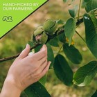 Nut Cravings - Raw Walnuts In Shell  Whole   80oz - 5 Lb  Packed Fresh In   