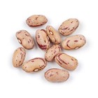 Borlotti Beans Cranberry Beans - 1kg 2kg 5kg 10kg 15kg 20kg 30kg 40kg Bulk