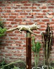 Lot Of 3 Vintage Wooden Walking Canes Brass Handle Knob Antique Style Gift