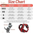 Rabbitgoo Cat Harness And Leash For Walking Escape Proof Adjustable Vest Red