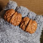                 Chinese Wenwan Walnut   toad Head               -                      35x37x27mm                            