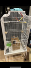 Prevue Pet Products Large Flight Bird Cage With Stand - White  f041 