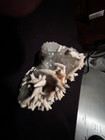Kb  Nice  Sw   Lw Fl  Moderate Red Calcite Xls  From Ancash  Peru