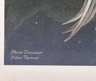 Nene Thomas Moon Dreamer Fairy Art Print 11  X 8 5 