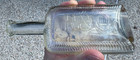 Raymond   Co  New Canaan Connecticut Ct Floral Queen Hair Oil Bottle 1860 s