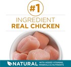 Purina One Natural Dry Cat Food  Tender Selects Blend With Real Chicken  22 Lbs