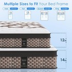 Queen Mattress 12 Inch  Hybrid Mattress  Medium Firm For Back Support