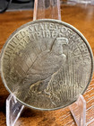 1923 Peace Silver Dollar  1 Coin  Circulated  Uncertified  United States