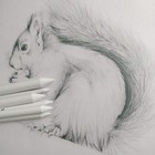 6 Pcs Blending Stumps And Tortillions  Sketch Drawing Tools  Paper Art    