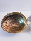 Vintage Abalone Shell Bowls Set Of 2 Iridescent