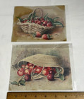 21 Large Victorian Scrap  Advertising Scrapbook Children Flowers Women