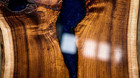 Live Edge Guanacaste Coffee Table  Parota Wood Epoxy River Table  Exotic Slab