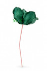 Mackenzie Childs Emerald Luxe Magnolia Stem Flower New 23  Long