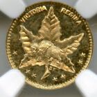1898 1 2d Buffalo  Maple Leaf Manitoba   California Gold   Greene  780 Ngc Ms65