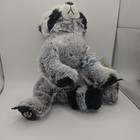 Ganz Webkinz Signature Racoon Hm143 Plush Toy New With Sealed Unused Code