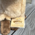 Webkinz Signature Siamese Cat New With Code
