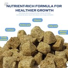Freeze Dried Brine Shrimp Cubes    100  Natural High   protein Fish Food For Trop   