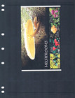  6 25 Scott Value - 2004 Maldives Mushrooms S s Indian Ocean Cvmnh Nh Umm