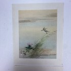 Vintage Asian Prints Chang Shy Chi Collection Set Of 2 - 4x4  were Cards 