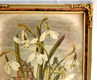 Ornate Sculpted Corner Art Nouveau 8  X 10  Frame W Snowdrop Print Libbie Lovett