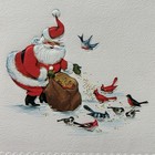 Vintage Mid-century Christmas Card Santa Claus Feeding The Birds Embossed