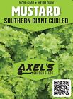 Southern Giant Curled Mustard Seeds   Heirloom   Non-gmo   Fresh Herb Seeds