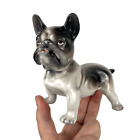 Vtg French Bulldog Porcelain Figurine Japan 5  Frenchie