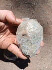 4 Crab Fossil Concretions Washington State Assorted Species