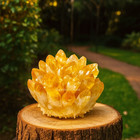 Golden Citrine Quartz Rare Geode Cluster Healing Crystal Reiki Home Art Decor
