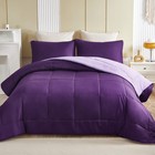 Lightweight Reversible 3-piece Comforter Set All Seasons  Down Alternative Co   