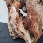 Driftwood Natural Sculpture Piece Woodworking Decorative Diy