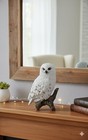 Hi-line Gift Ltd Snowy Owl On Stump 6 75 White Realistic Outdoor Garden Statue