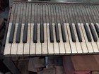 Antique 1800 s Organ Piano Keyboard Bakelite Ebony Complet Set Keys